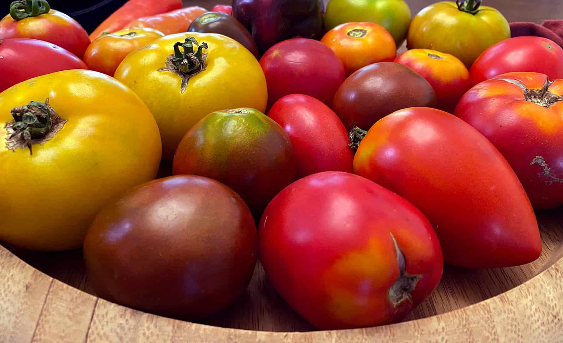 10 Ideas for Rising Tomatoes * Huge Weblog of Gardening