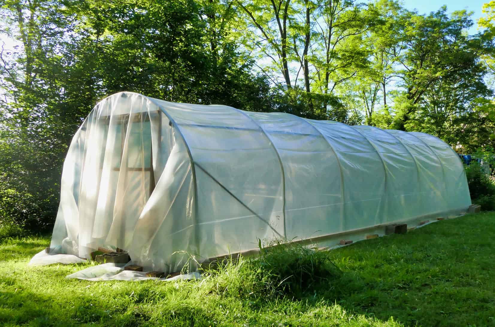 Polytunnel Rising For Newcomers * Massive Weblog of Gardening